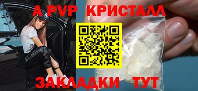 стаф Кингисепп