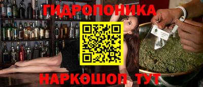 стаф Кингисепп