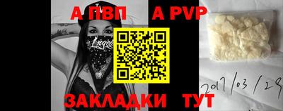стаф Кингисепп