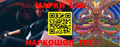 стаф Кингисепп