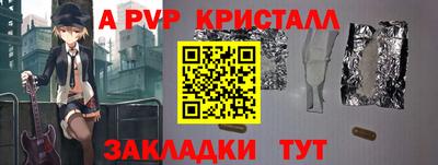 стаф Кингисепп