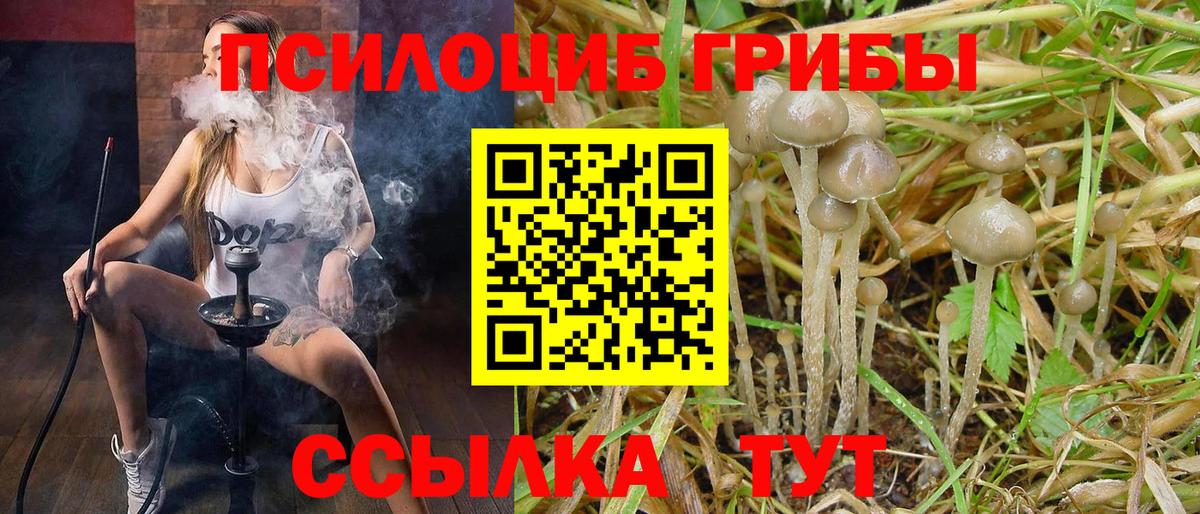 Галлюциногенные грибы мицелий  Вход с VPN  Лабытнанги  Галлюциногенные грибы Magic Shrooms 